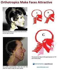 Images 16