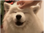 1602587200206