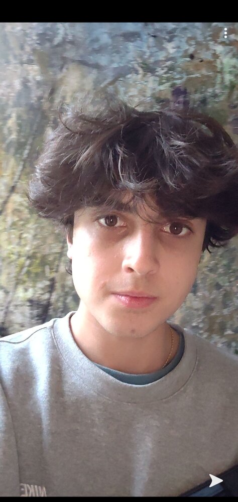 Screenshot 20201013 135427