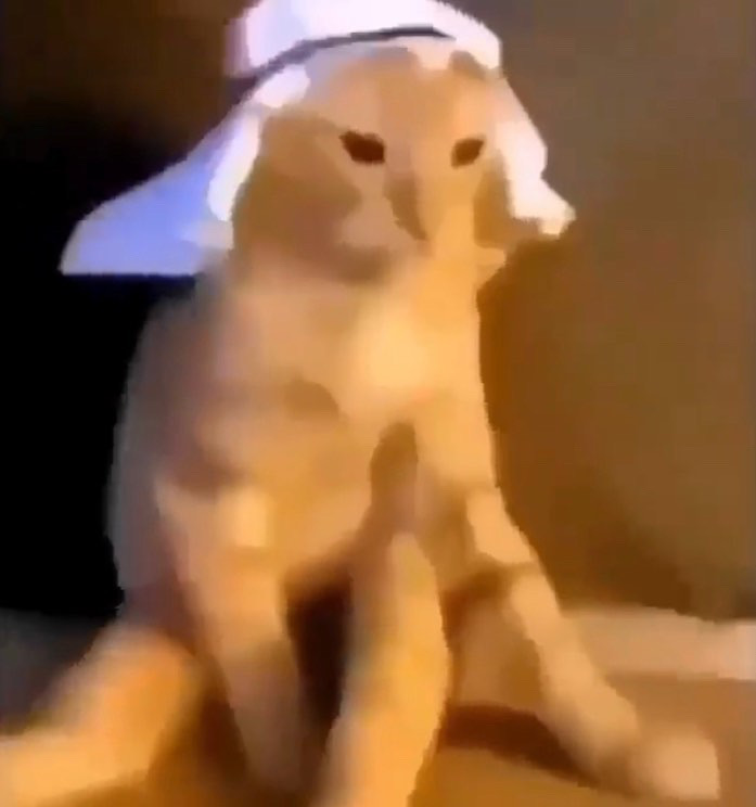 2F04E3DD 053B 491D 8322 1B25BBAAAFB5