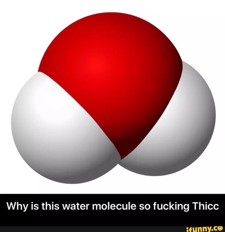 1602702371446