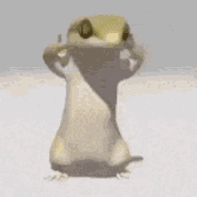 Dancinggecko