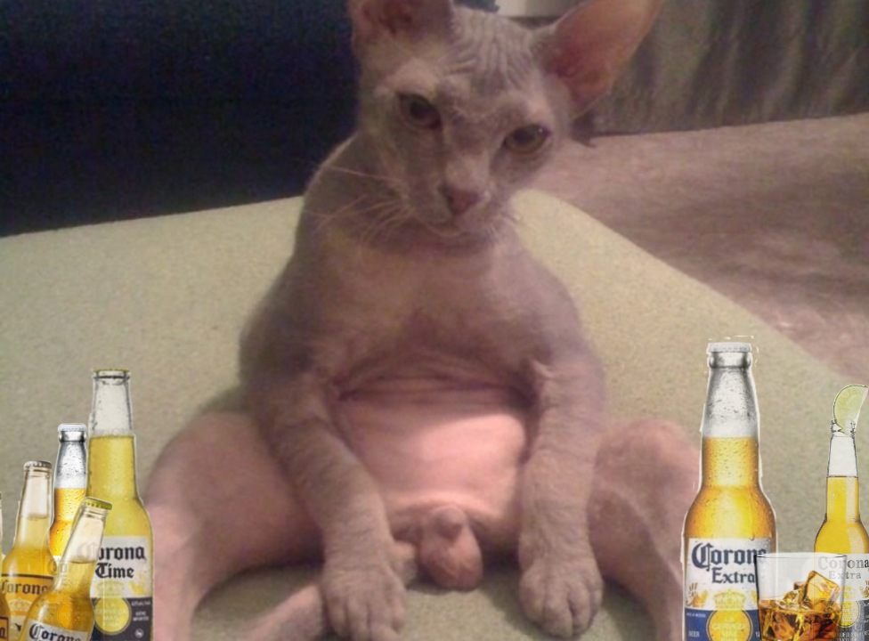 PicsArt 10 16 033450