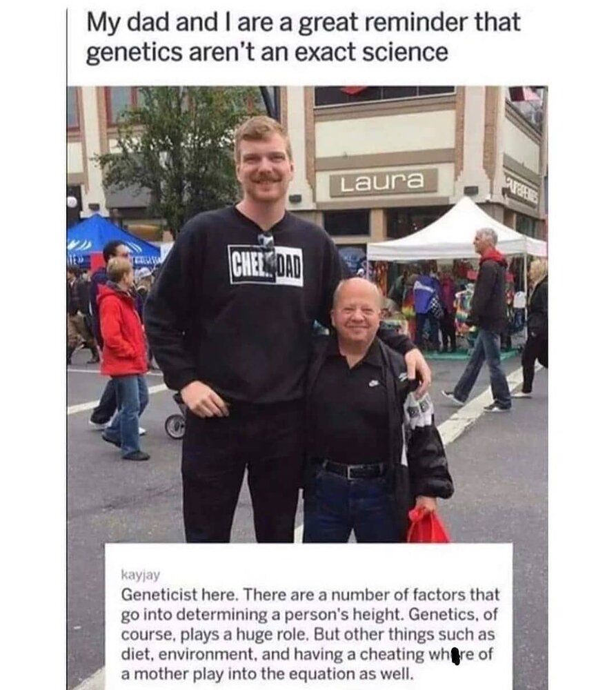 Painful memesv2 121632667133114541876682798560898847560013n