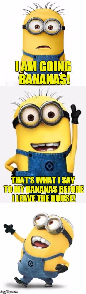 B04F70C0 8775 4BC0 9DC1 64829235B2BA