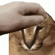 10236