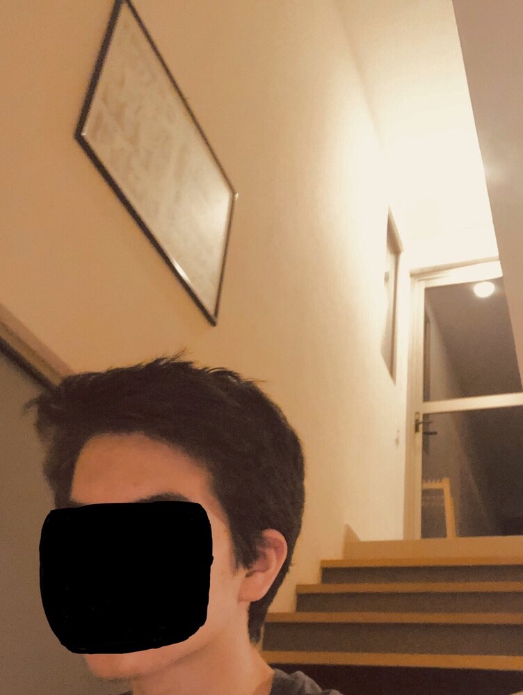 Red or brown
