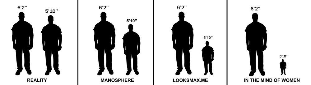 HeightCompare1