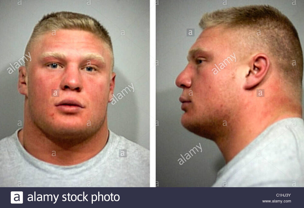 Brock lesnar mugshot C1HJ3Y