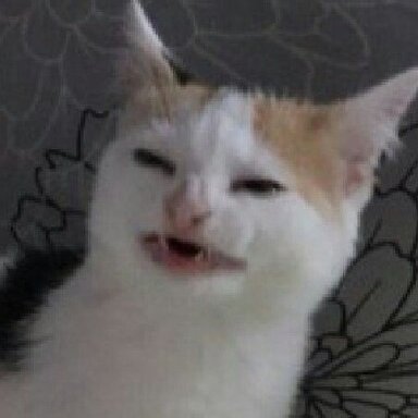 7753