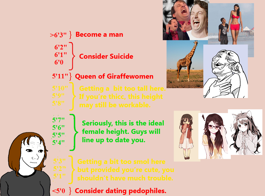 Height foid