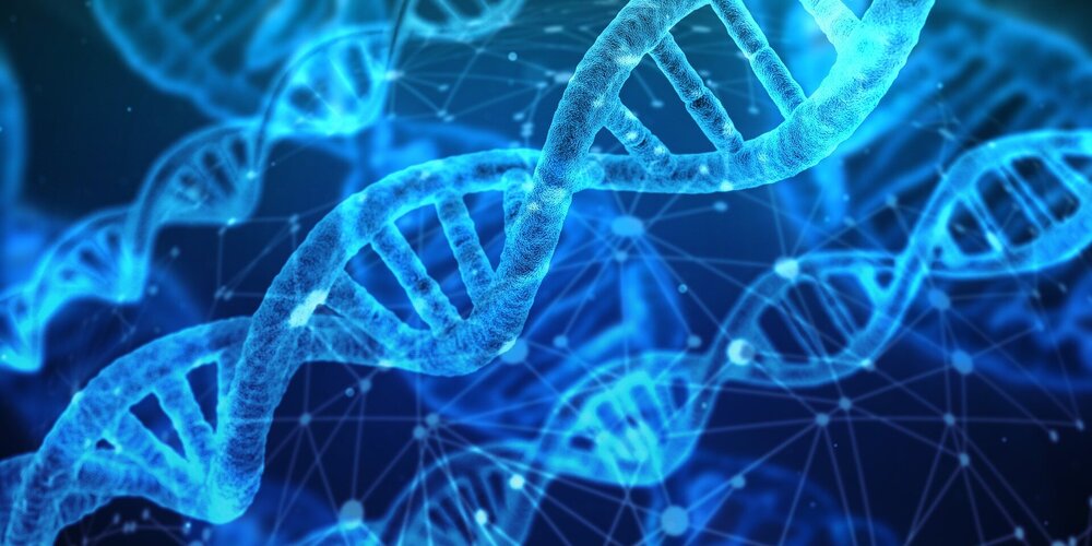 1 genetics