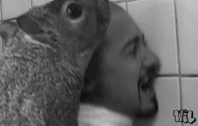 American history x curb stomp gif 12