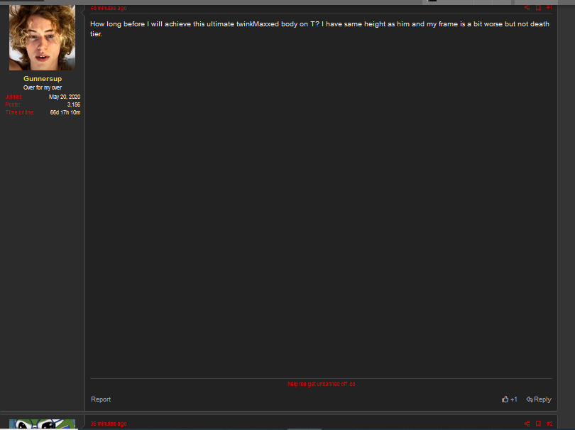 1 Looksmax picture video wont load