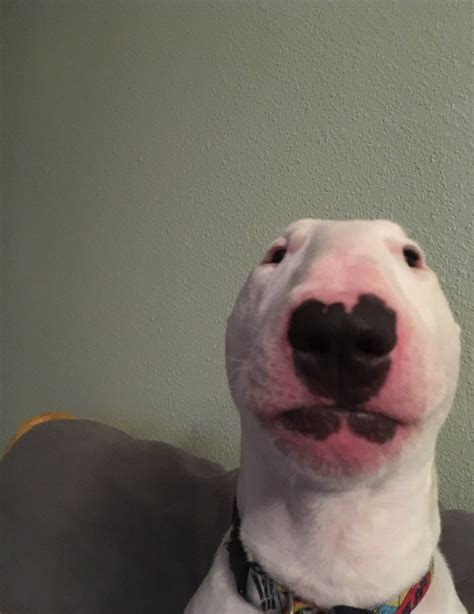1603323333414