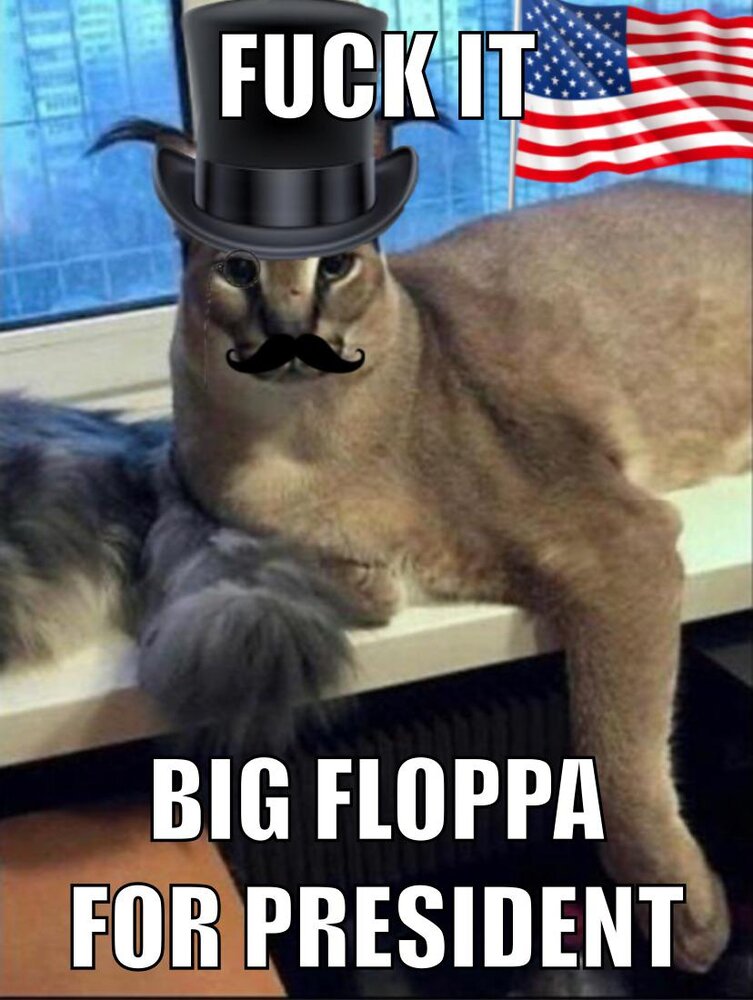 1603321660496