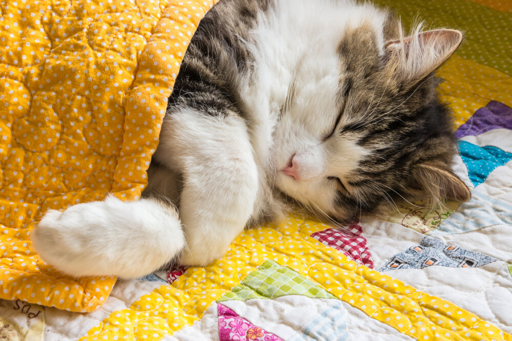 Nappytime