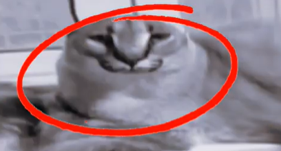 1603486856883