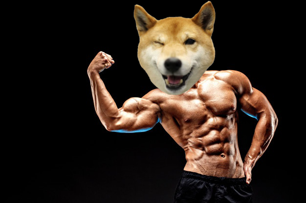 Strong bald bodybuilder with six pack 136403 4508