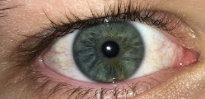 1603629112144