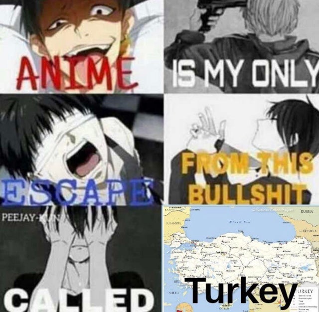 1603658052979