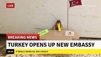 Isntthisasininturkeytho 3138c31467094917780081d78ec82226