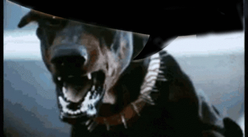 Ezgif 6 703a179afb0e