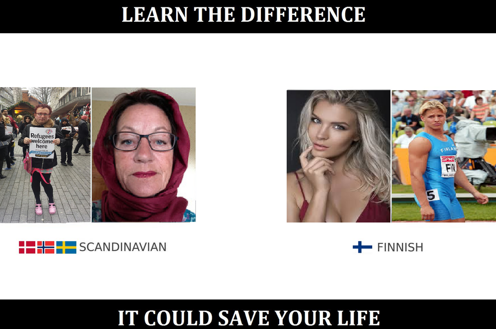 Swede vs finn