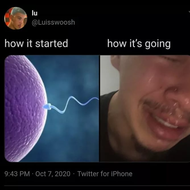Antinatalisto 1226202001969605685098597014352201044328313n