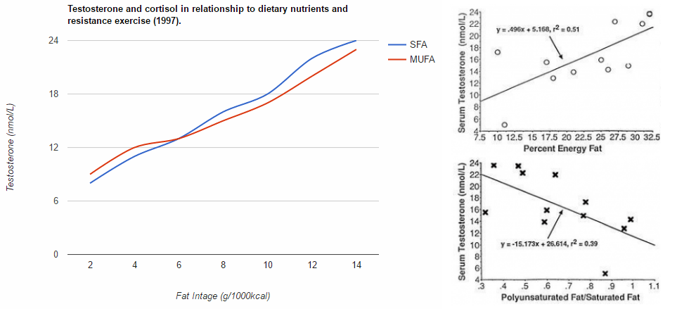 Fatty acids and testosterone