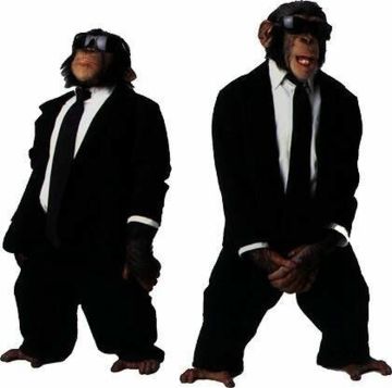 360px tie chimpanzees