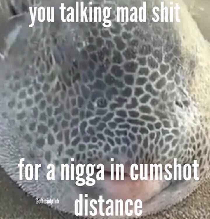 Ae2e6c3