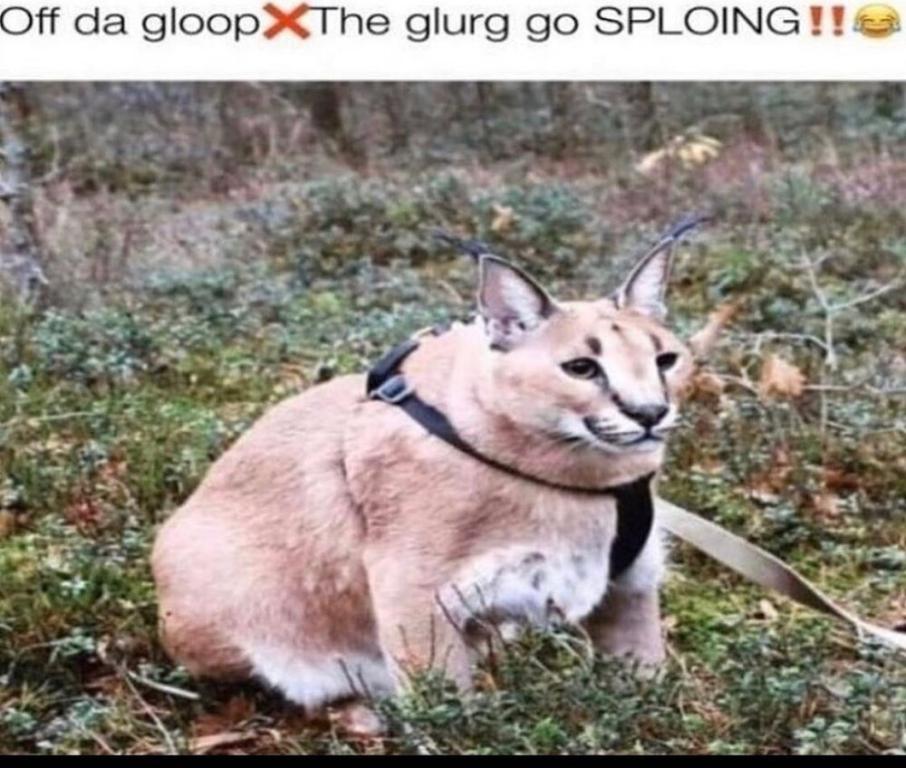 Chronicmemesv2 12157824235476876219892102207486660191391337n