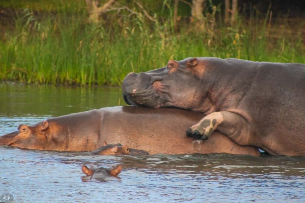 4D2386A0 2E7C 4FC1 A4B5 109148EF9649