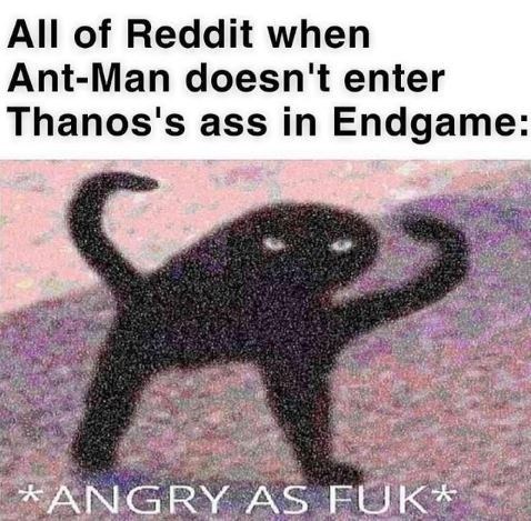 1603951845255