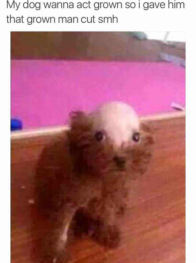 57D52DE0 CB81 4F47 BF1F 3373B66343C3