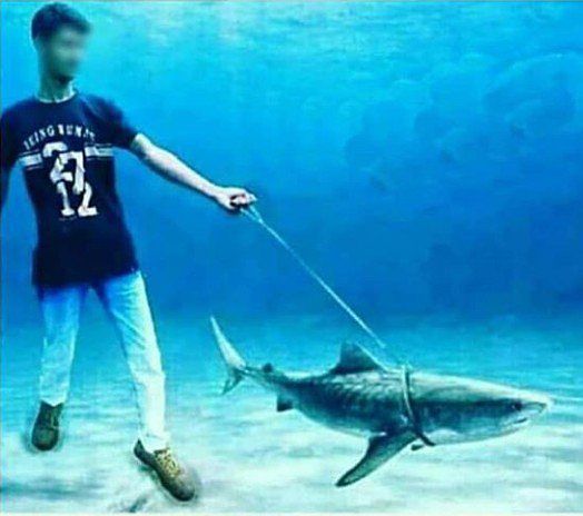 Funny Indian Photoshop skills 2