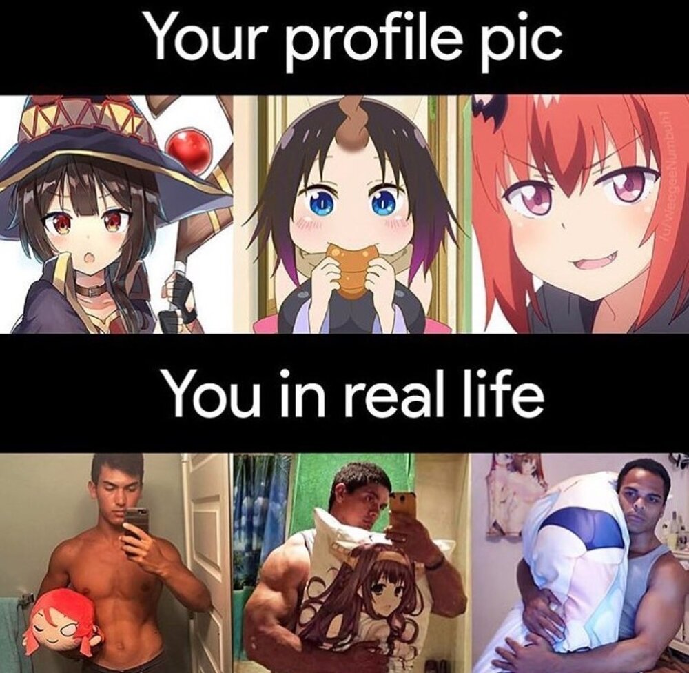 Animechad