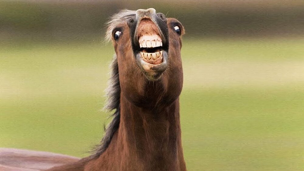 A604E387 5352 488A 83A6 5534B32A4F29