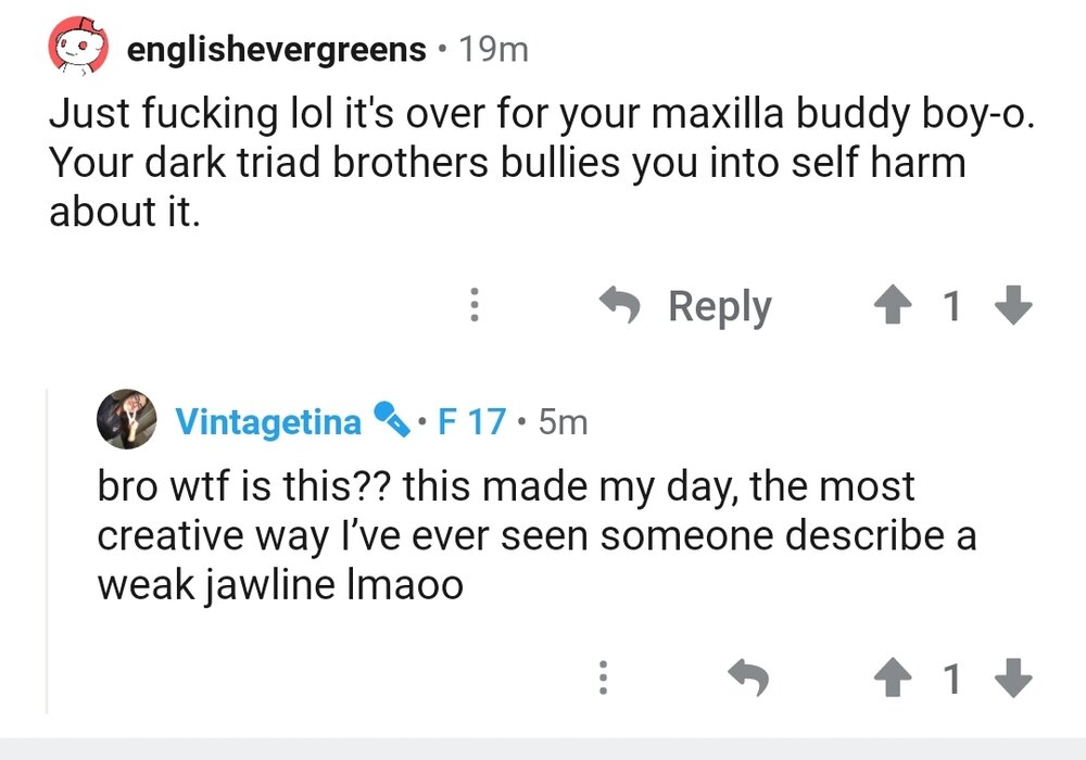 Screenshot 20201029 212221 Reddit