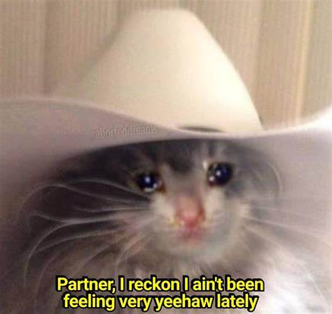 SadcowboyCAT
