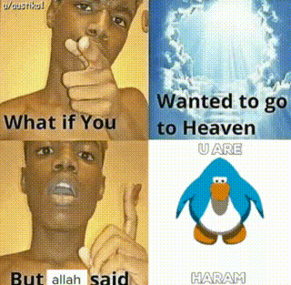 2C56FAD5 1DA8 480C 9E01 7C5ABCC2B578