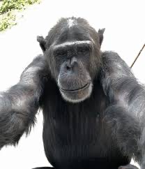 B7168B69 364F 421A 9139 AB1A307DFD1E