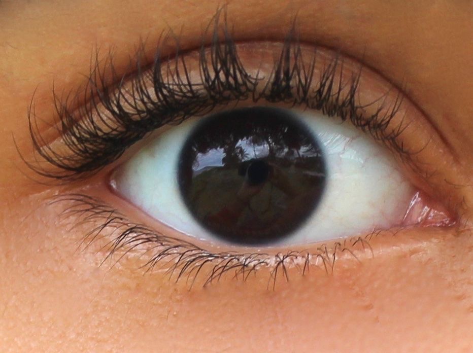 51A8C853 476C 4D66 94E1 941D74644732