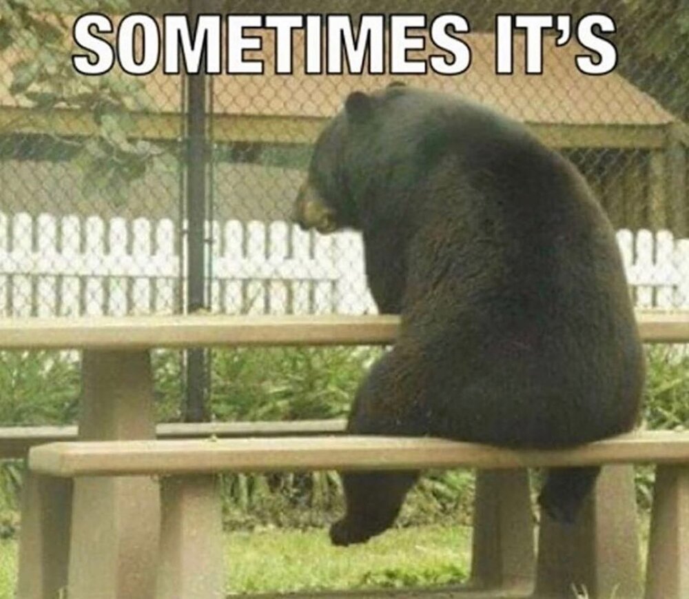 Mememonk  1230991207573581081784551153164824533784444n