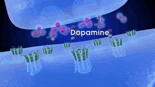 5B1CEDF0 A32A 4099 ADCB 31E809DA4A84