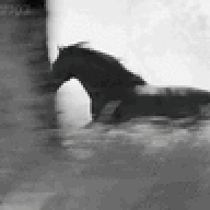 1604179360699