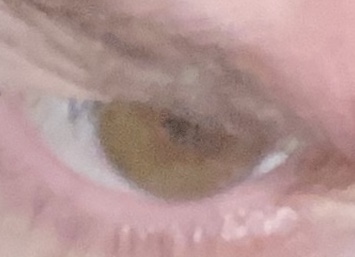 7EBC02EF 5D8A 452E 8D9F 131F24DF2600