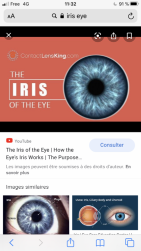EA6D8818-BA34-4AC6-95D9-55F8D267041E.png