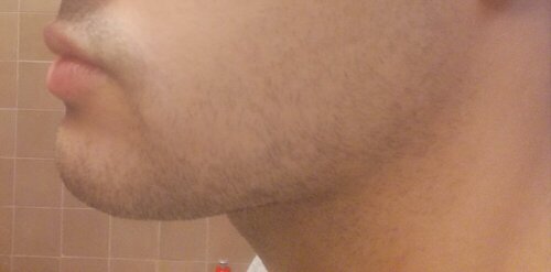 IMG_20201013_091307.jpg